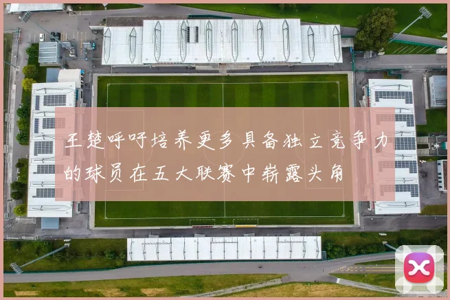 王楚呼吁培养更多具备独立竞争力的球员在五大联赛中崭露头角